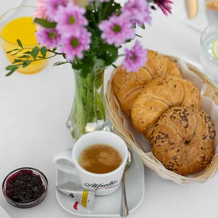 布鲁塞尔酒店 4* Františkovy Lázně