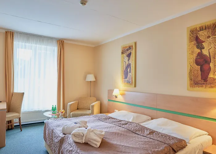 Brussel Hotel Františkovy Lázně
